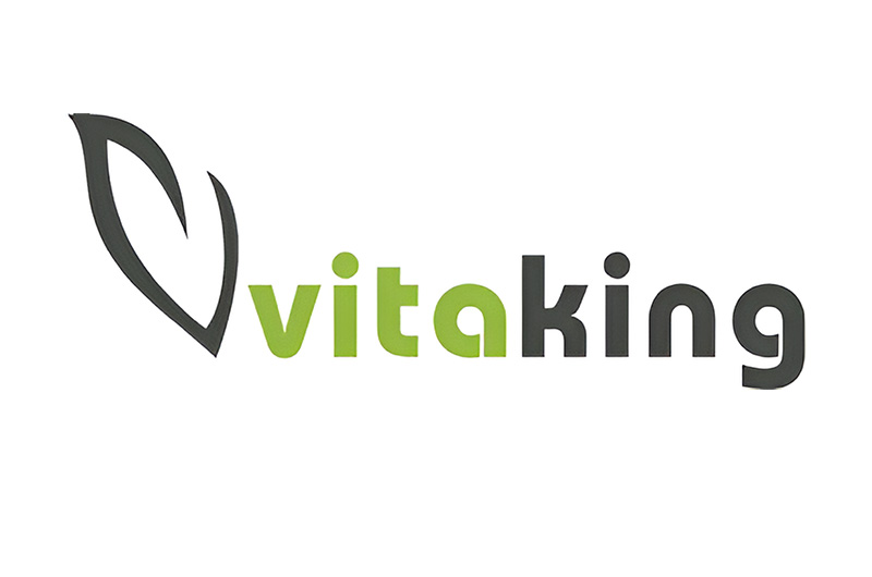 VitaKing logo